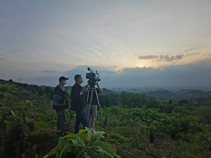 创意破圈！镇江电商产品宣传视频用故事化叙事引爆流量