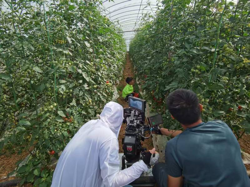 镇江产品宣传视频拍摄公司进阶指南，助力品牌抢占传播高地